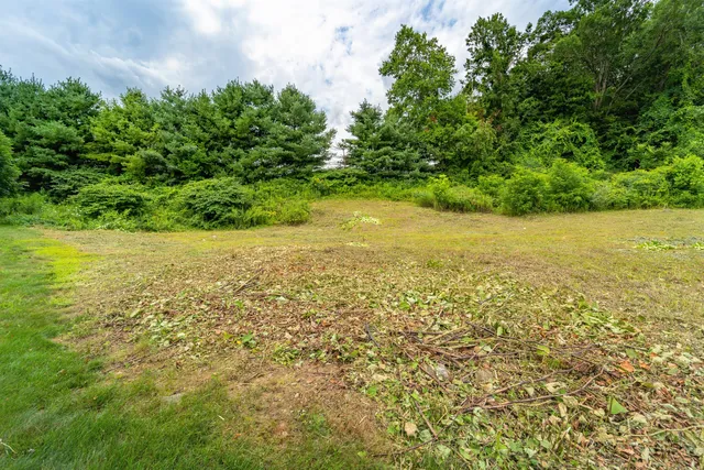 a view of a street with a bench and trees