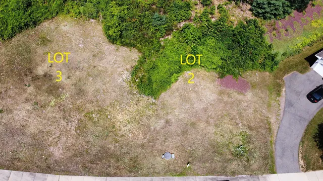 a view of a street with a trees in the background