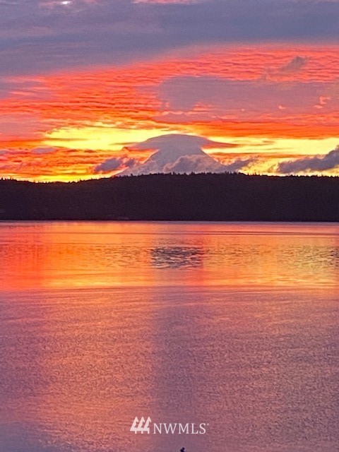 200 East Sund Road Grapeview, WA 98546 - Photo 3 of 40 a view of an ocean and a beach