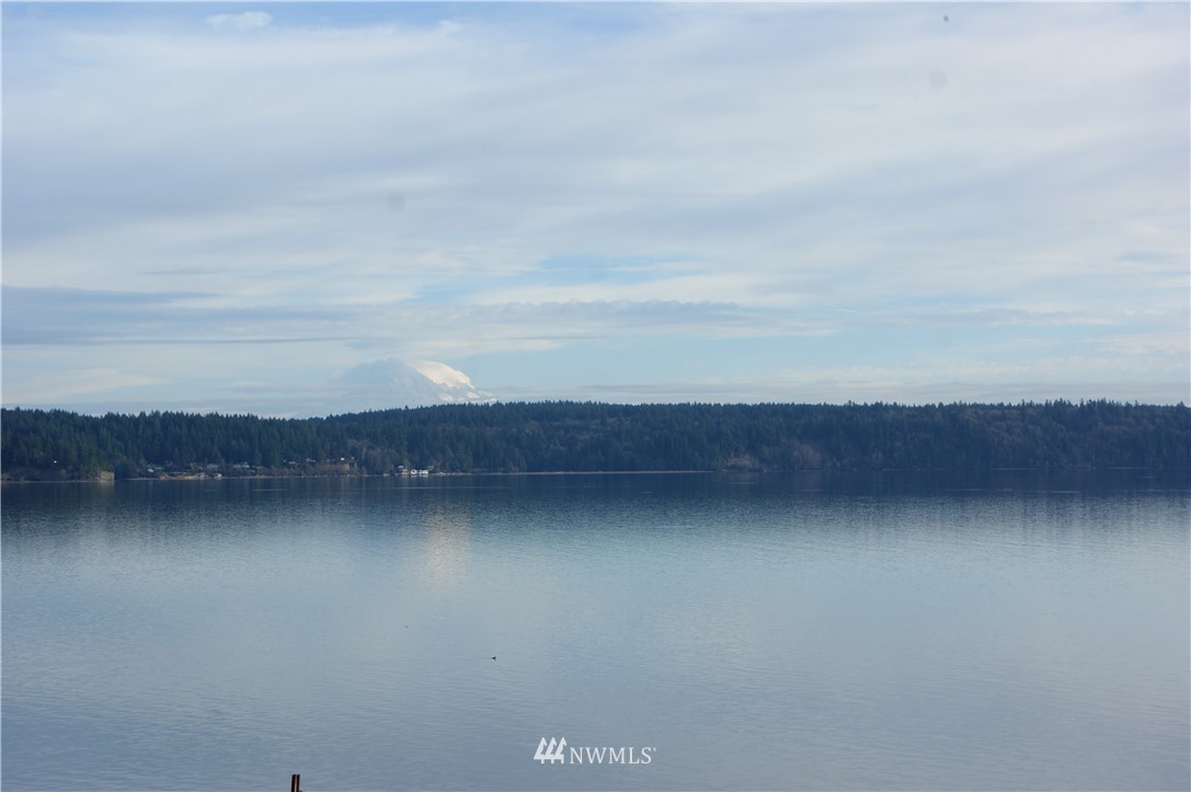 200 East Sund Road Grapeview, WA 98546 - Photo 10 of 40 a view of a room next to a yard
