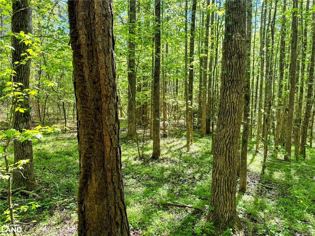 0 Murphy Road Anderson, SC 29626 - Photo 11 of 16
