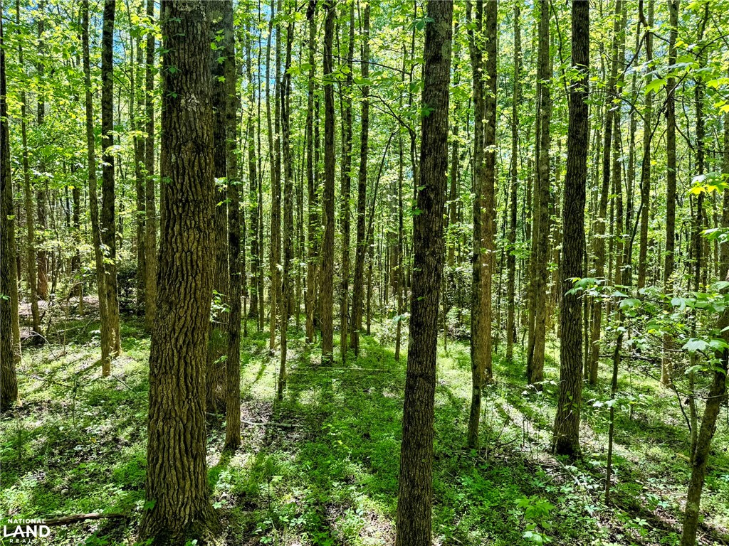 0 Murphy Road Anderson, SC 29626 - Photo 12 of 16