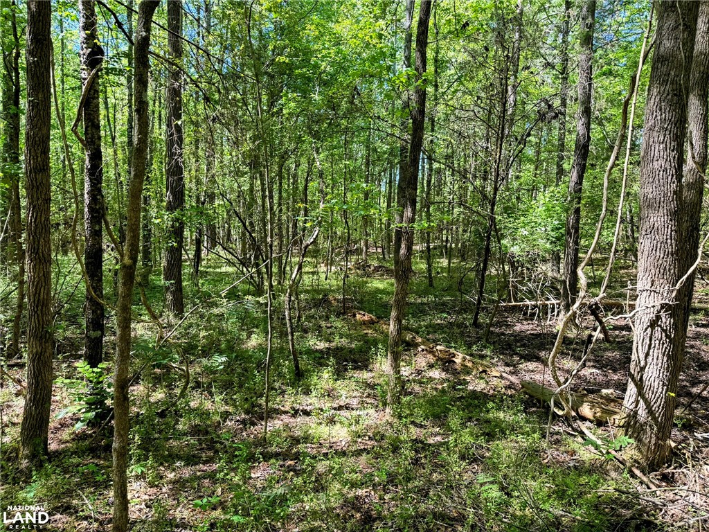 0 Murphy Road Anderson, SC 29626 - Photo 14 of 16