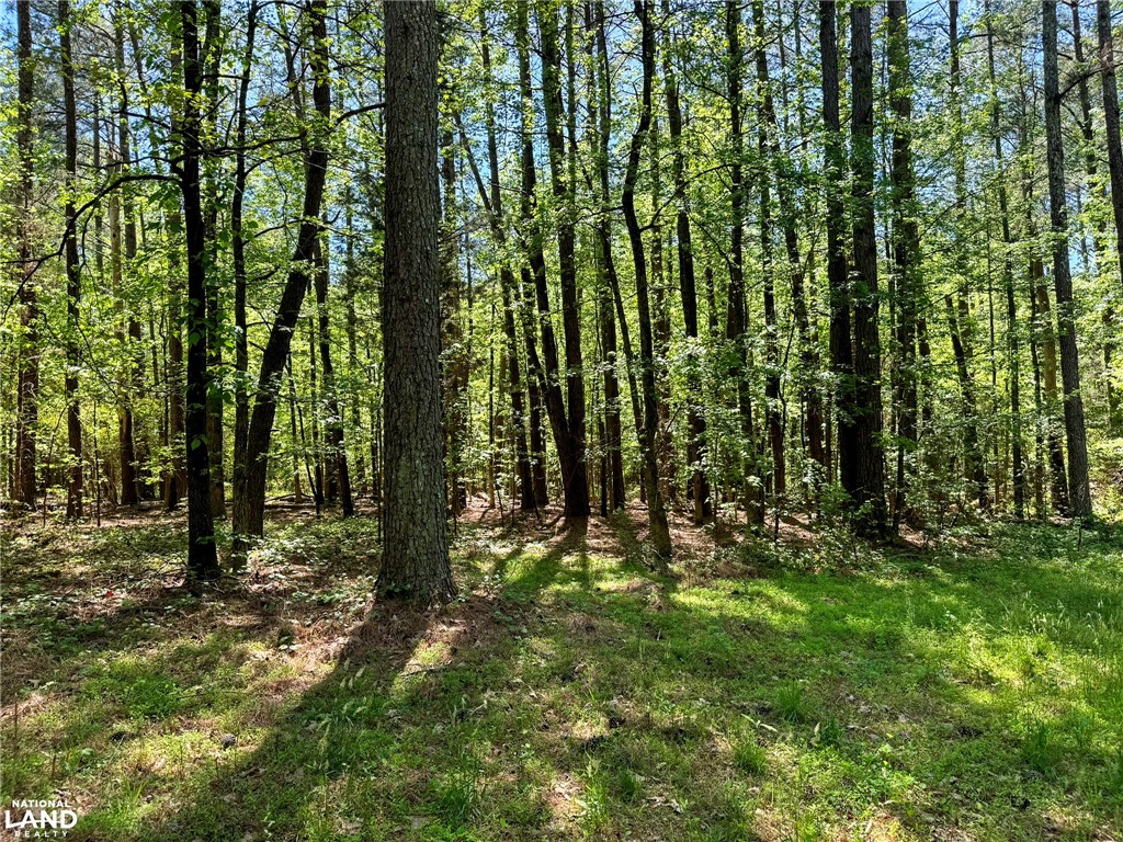 0 Murphy Road Anderson, SC 29626 - Photo 15 of 16