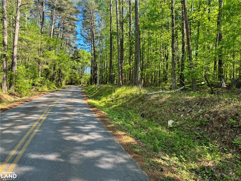 0 Murphy Road Anderson, SC 29626 - Photo 3 of 16