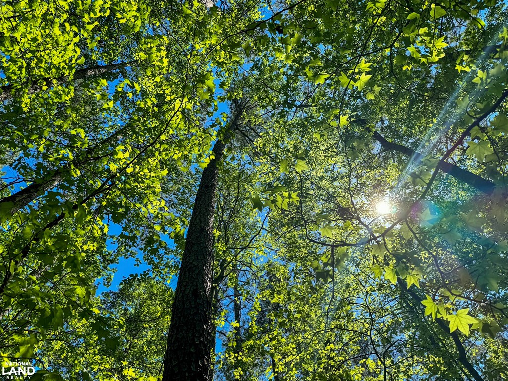 0 Murphy Road Anderson, SC 29626 - Photo 5 of 16