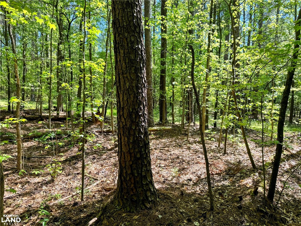 0 Murphy Road Anderson, SC 29626 - Photo 6 of 16