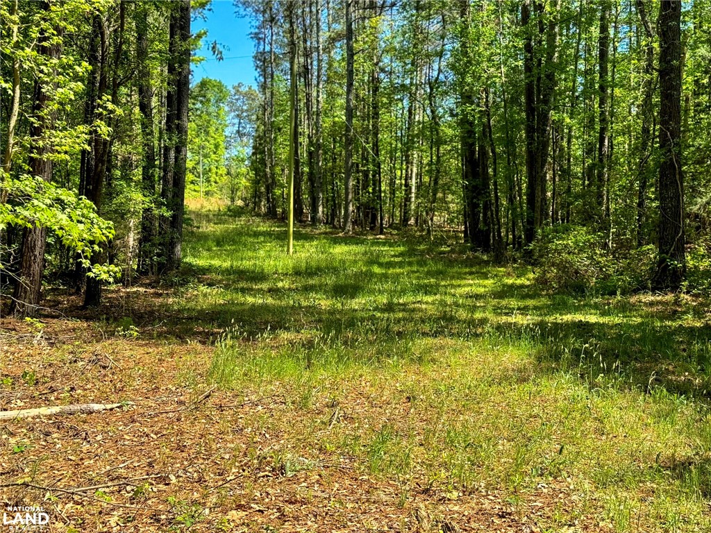 0 Murphy Road Anderson, SC 29626 - Photo 7 of 16
