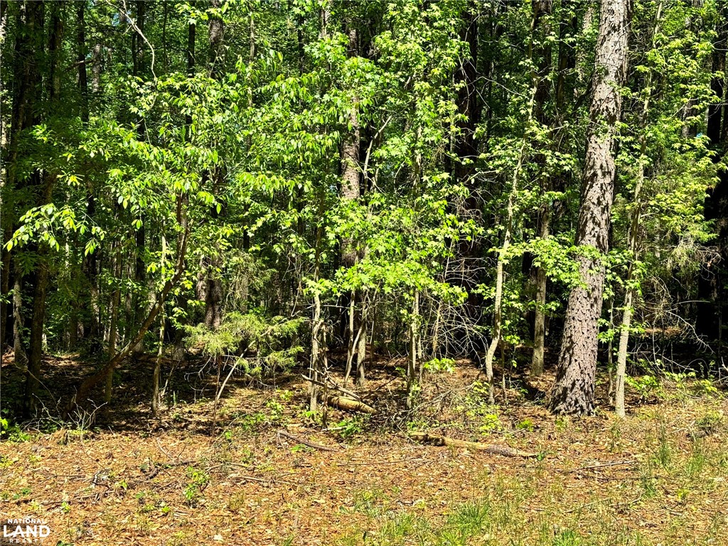 0 Murphy Road Anderson, SC 29626 - Photo 8 of 16