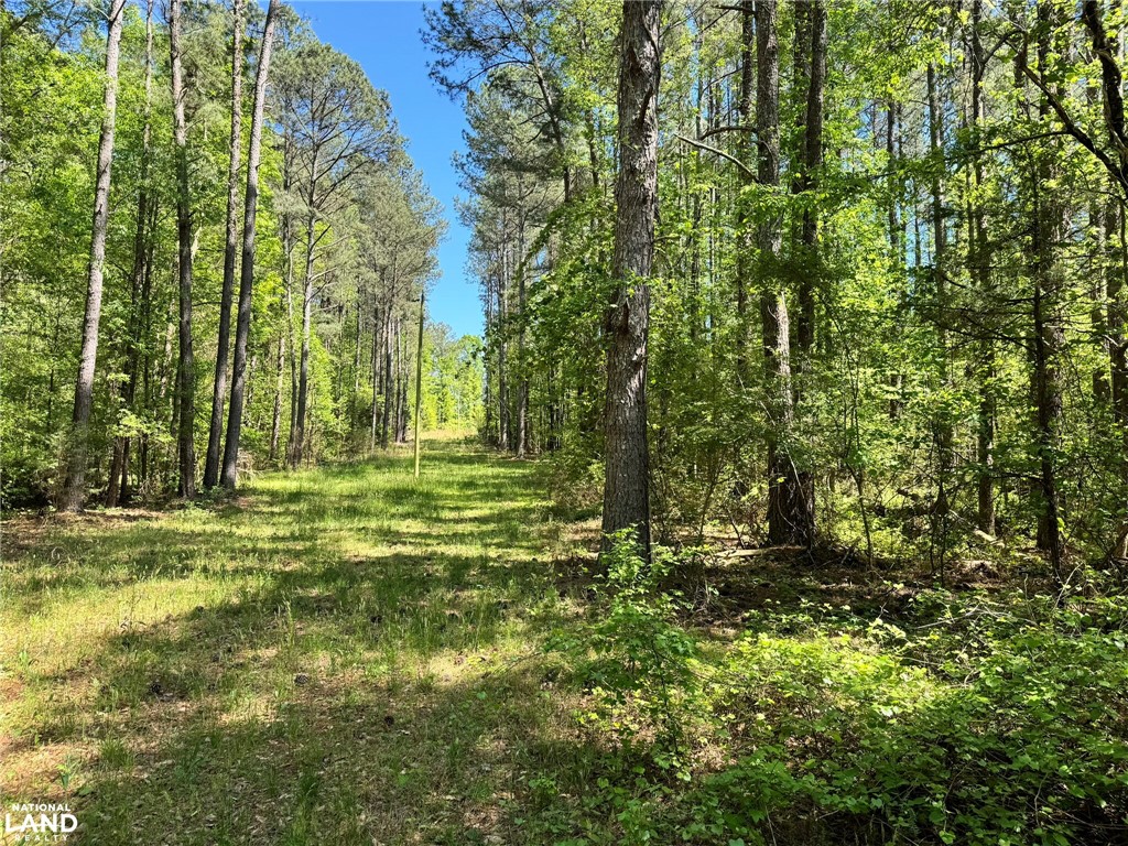 0 Murphy Road Anderson, SC 29626 - Photo 9 of 16