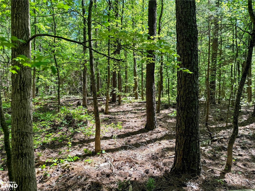 0 Murphy Road Anderson, SC 29626 - Photo 10 of 16