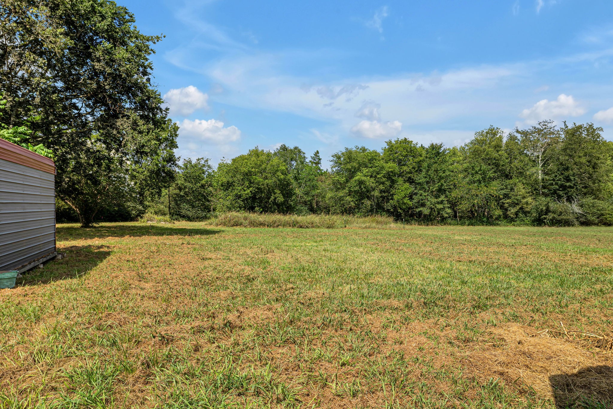 1177 Hamilton Chambers Road Lebanon, TN 37087 - Photo 39 of 42 a view of a yard with an trees