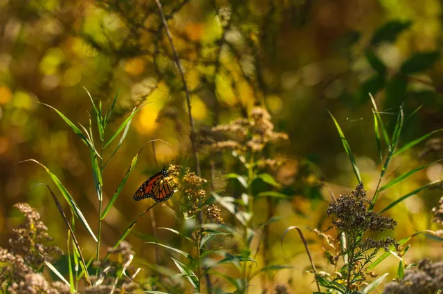 $135,000 | 9 St Becida Mn 56678, Solway, MN 56678