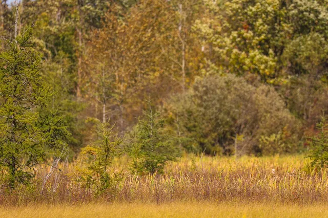 $135,000 | 9 St Becida Mn 56678, Solway, MN 56678