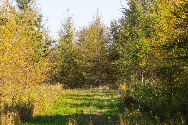 $135,000 | 9 St Becida Mn 56678, Solway, MN 56678