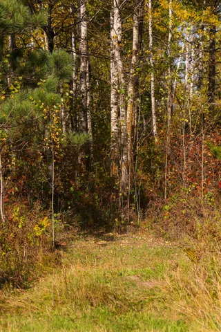 $135,000 | 9 St Becida Mn 56678, Solway, MN 56678