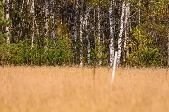 $135,000 | 9 St Becida Mn 56678, Solway, MN 56678