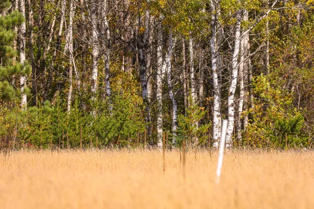 $135,000 | 9 St Becida Mn 56678, Solway, MN 56678