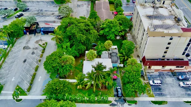 aerial view of a house with plants and large trees