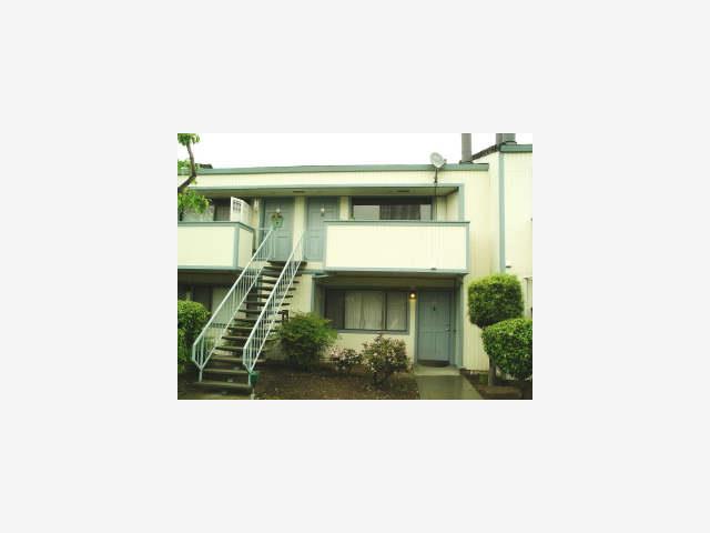 a picture of a house with a small yard and plants