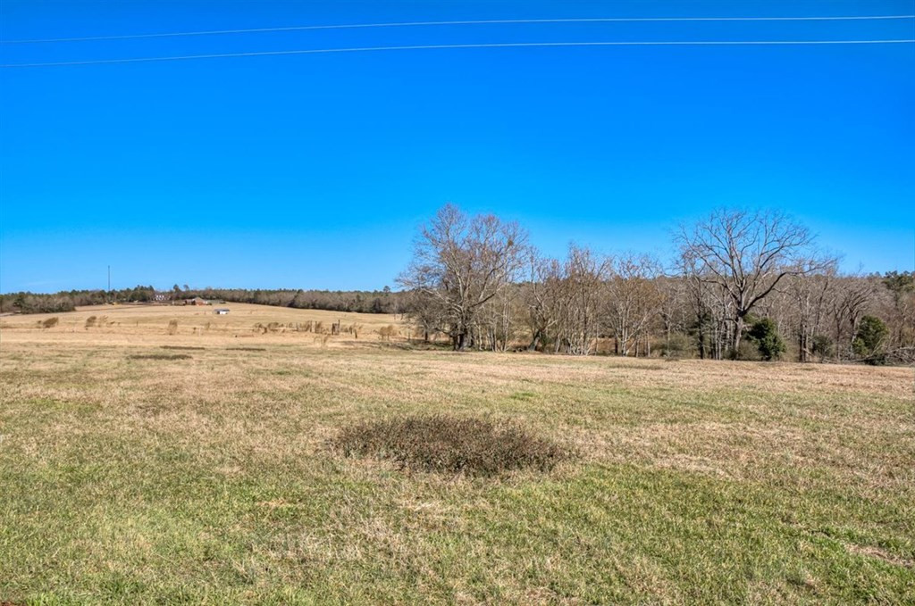 Lot 7 Wire Road Aiken, SC 29801 - Photo 9 of 13