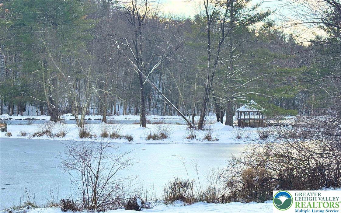 221 Brookdale Road Bartonsville, PA 18321 - Photo 14 of 14 a view of snow on the side of a road