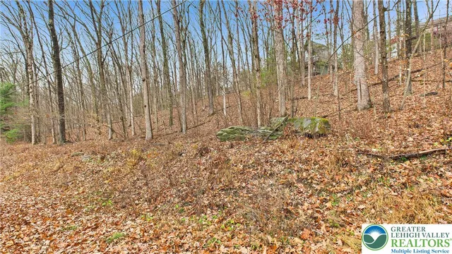 a view of wooden door
