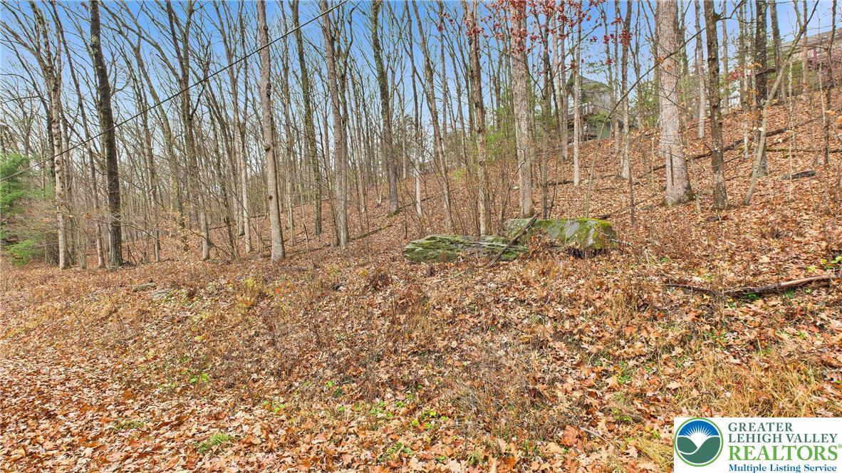 221 Brookdale Road Bartonsville, PA 18321 - Photo 3 of 14