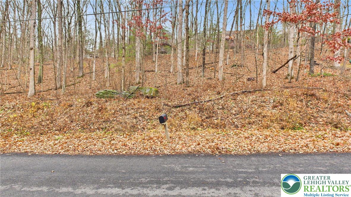 221 Brookdale Road Bartonsville, PA 18321 - Photo 4 of 14 a view of wooden door