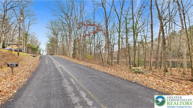 a view of a road with tall trees