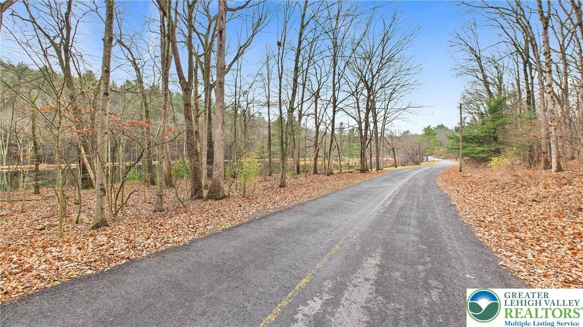 221 Brookdale Road Bartonsville, PA 18321 - Photo 6 of 14 a view of a road with tall trees