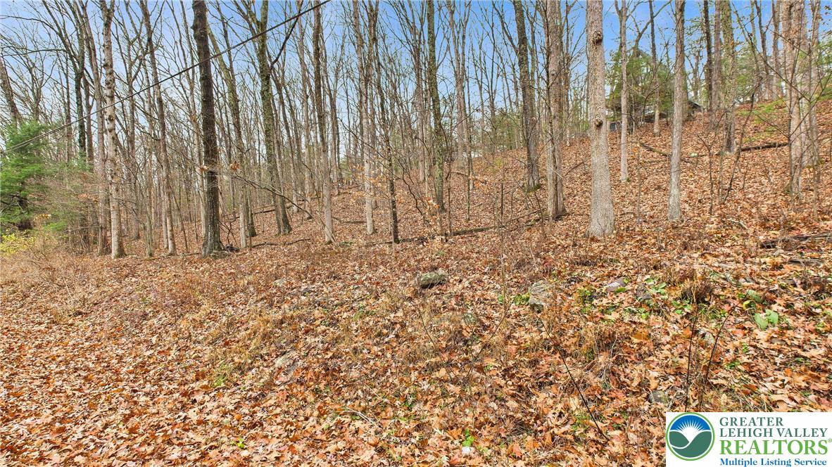 221 Brookdale Road Bartonsville, PA 18321 - Photo 7 of 14 a view of wooden walls