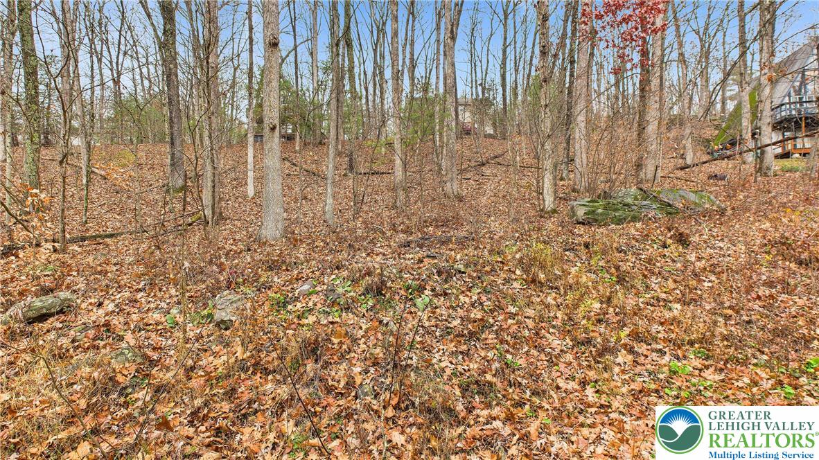 221 Brookdale Road Bartonsville, PA 18321 - Photo 8 of 14 a view of a wooden wall with large trees