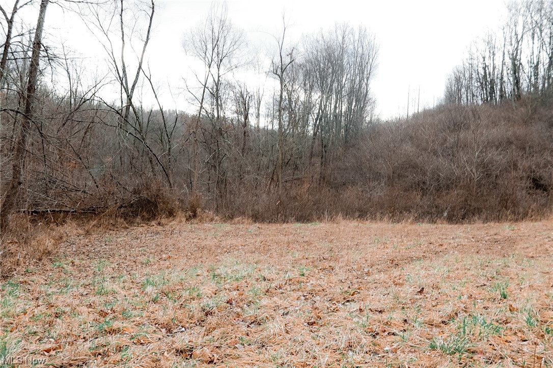 44 County Road Dennison, OH 44621 - Photo 17 of 22 View of nature