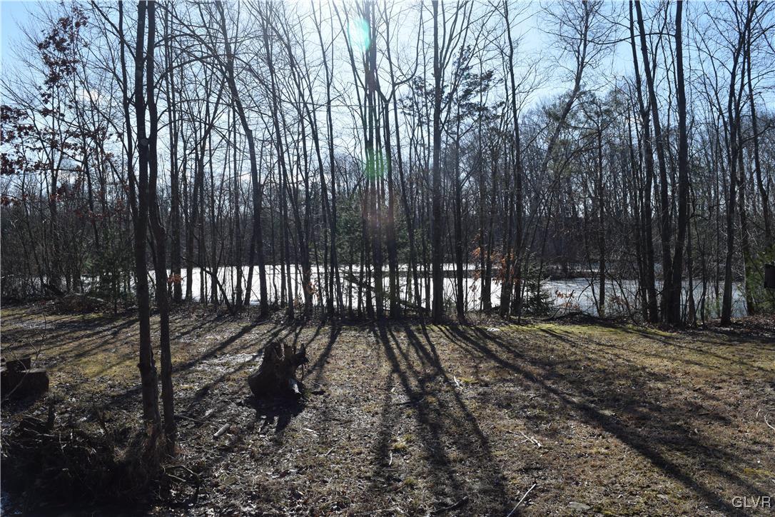 1527 Clearfield Road Wind Gap, PA 18091 - Photo 10 of 17 a view of a yard with large trees