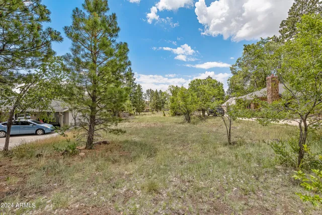a view of a tree in the middle of a yard