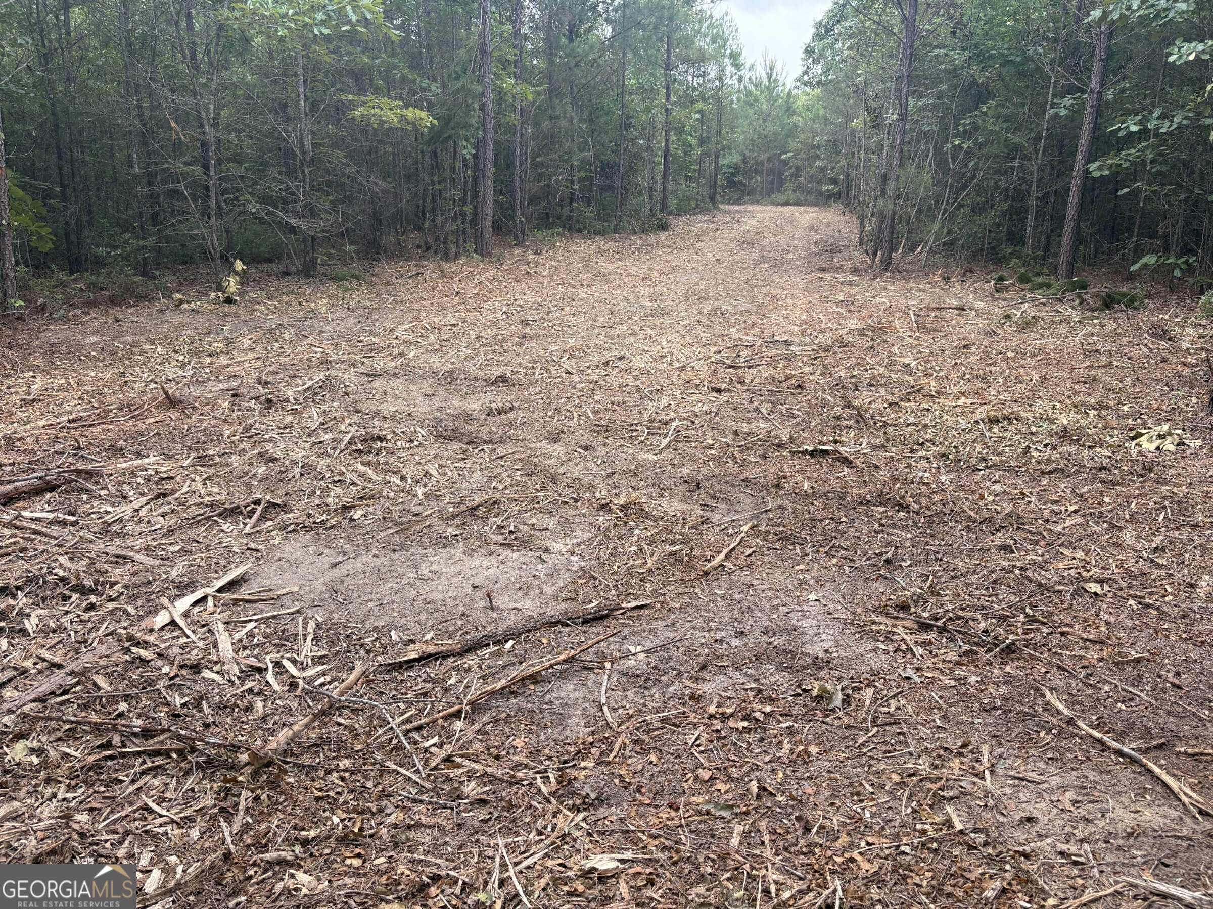 L9 North Indian Trail Road Sandersville, GA 31082 - Photo 19 of 19