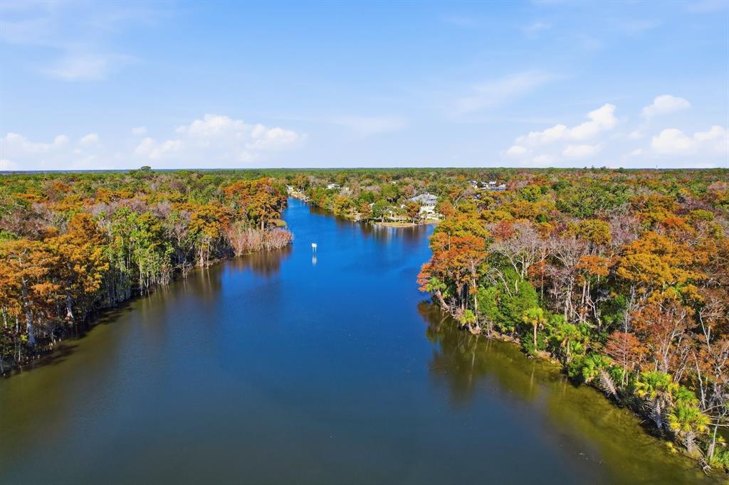 5 Palm Drive Yankeetown, FL 34498 - Photo 49 of 53 a view of ocean view