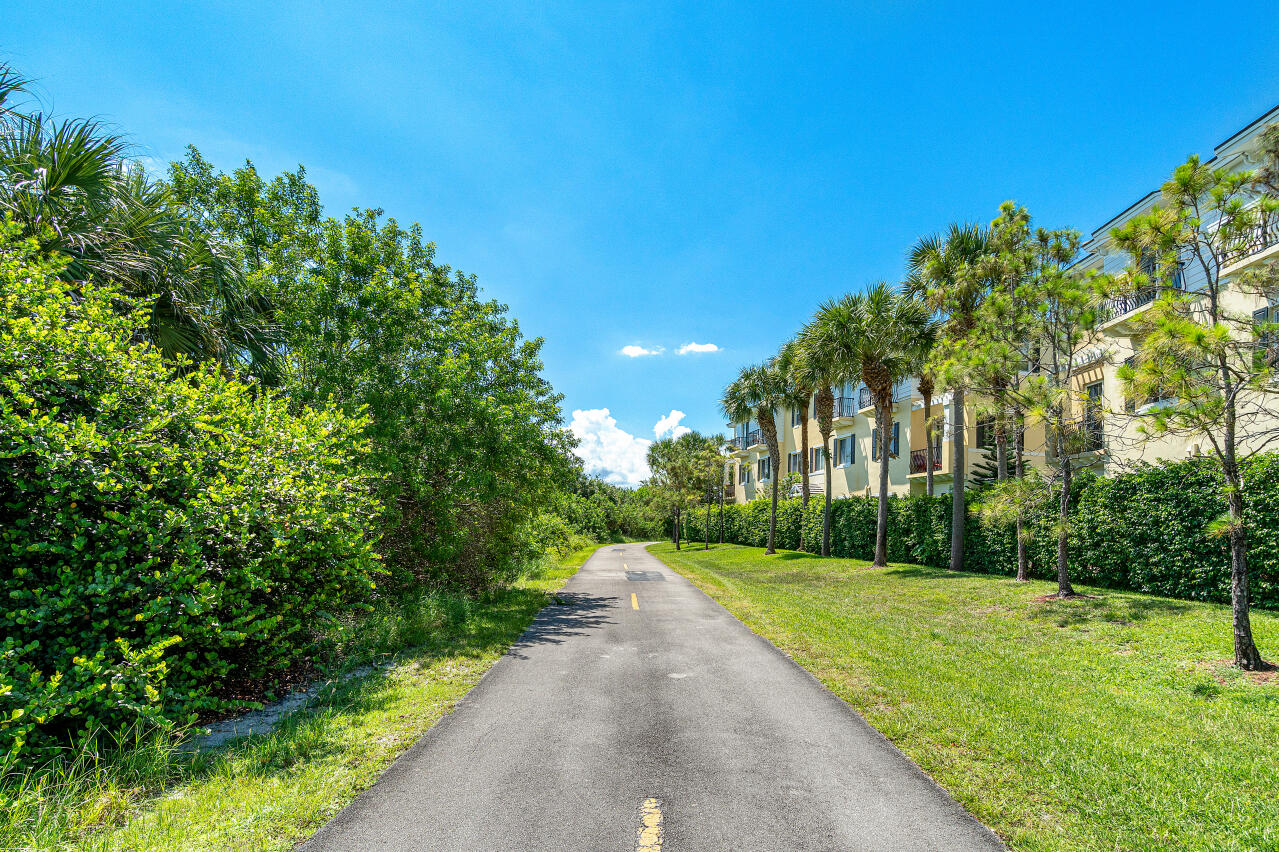 669 Northwest 38th Circle Boca Raton, FL 33431 - Photo 31 of 35 a view of a park with plants and large trees