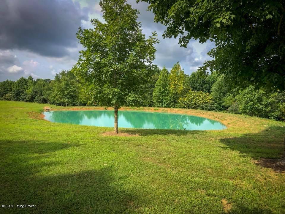 36 Goodman Road Caneyville, KY 42721 - Photo 2 of 29 2