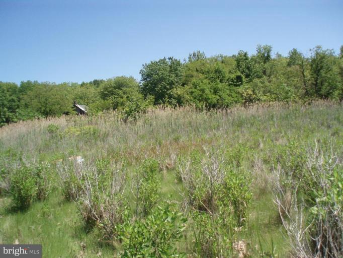 1225 Scottown Road Shady Side, MD 20764 - Photo 2 of 4 from dock area