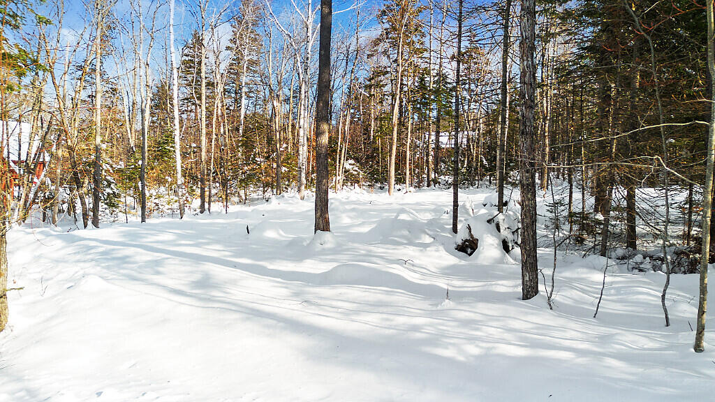 2010 Pine Road Carrabassett Valley, ME 04947 - Photo 1 of 17 01_DJI_0403_DxO_mls