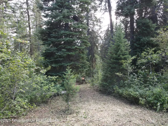 $380,000 | Lot 4 Pine Street, Alpine, WY 83128