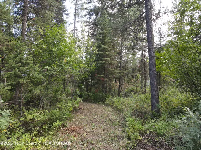 $380,000 | Lot 4 Pine Street, Alpine, WY 83128