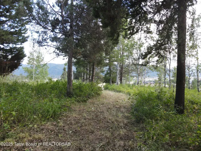 $380,000 | Lot 4 Pine Street, Alpine, WY 83128