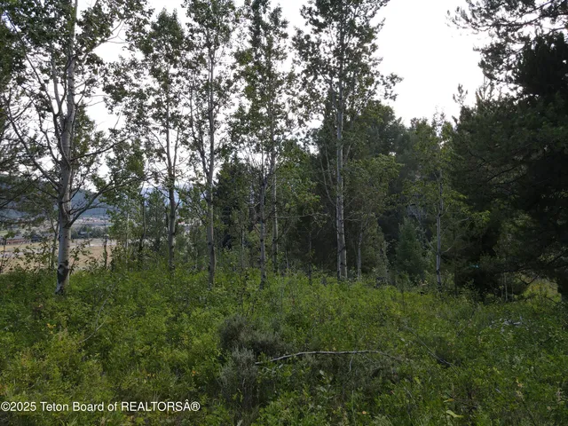 $380,000 | Lot 4 Pine Street, Alpine, WY 83128