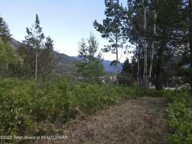 $380,000 | Lot 4 Pine Street, Alpine, WY 83128