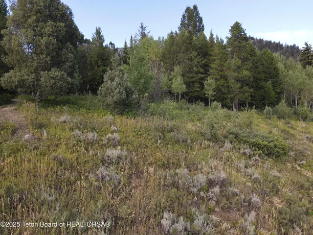$380,000 | Lot 4 Pine Street, Alpine, WY 83128