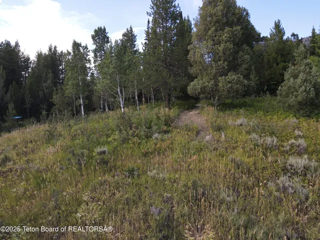 $380,000 | Lot 4 Pine Street, Alpine, WY 83128