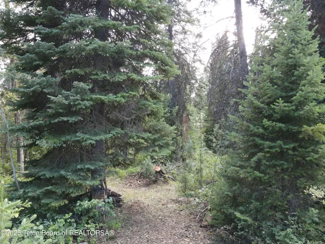 $380,000 | Lot 4 Pine Street, Alpine, WY 83128